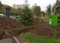 ÎȘI BAT JOC DE BAIA MARE! Plantăm copaci, cheltuim bani publici, apoi băgăm utilajele peste ei
