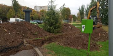 ÎȘI BAT JOC DE BAIA MARE! Plantăm copaci, cheltuim bani publici, apoi băgăm utilajele peste ei