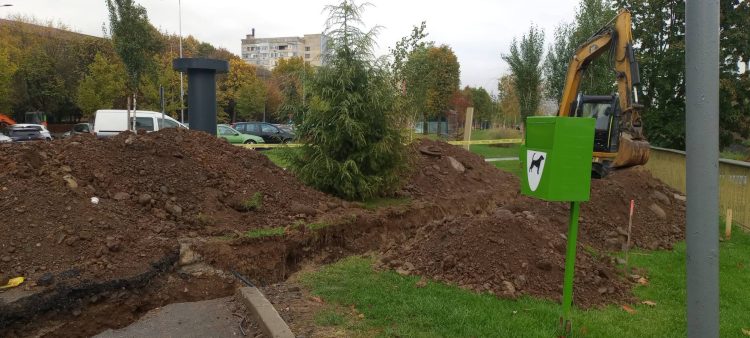 ÎȘI BAT JOC DE BAIA MARE! Plantăm copaci, cheltuim bani publici, apoi băgăm utilajele peste ei