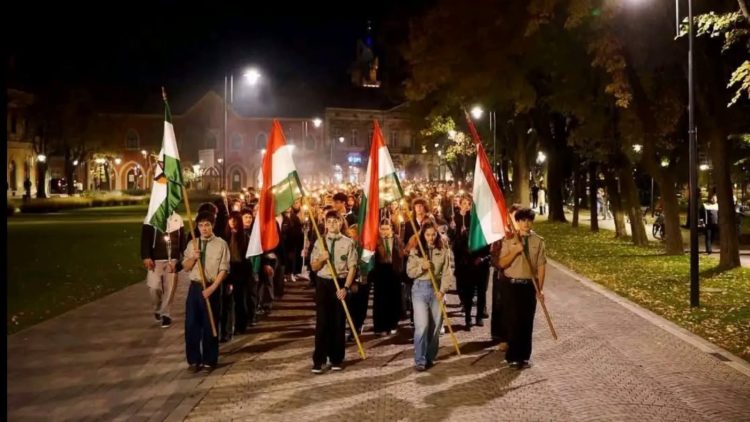 Unde a fost drapelul României? PNL și UDMR se încaieră la Satu Mare după un marș controversat!