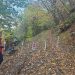 După accidentarea unui biciclist, Salvamont a verificat traseul spre Valea Roșie – Situația constatată în teren
