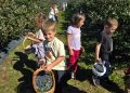 Copiii din Târgu Lăpuș au descoperit drumul afinelor până pe masa noastră