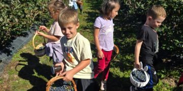 Copiii din Târgu Lăpuș au descoperit drumul afinelor până pe masa noastră