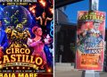 Circul Castillo vine pentru prima dată în Baia Mare. Ce pregătesc artiștii internaționali