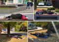Parcul Mara, dormitor în aer liber. Ce face Baia Mare pentru oamenii fără adăpost?