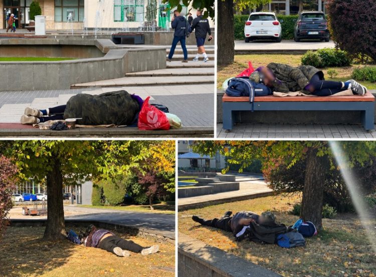 Parcul Mara, dormitor în aer liber. Ce face Baia Mare pentru oamenii fără adăpost?