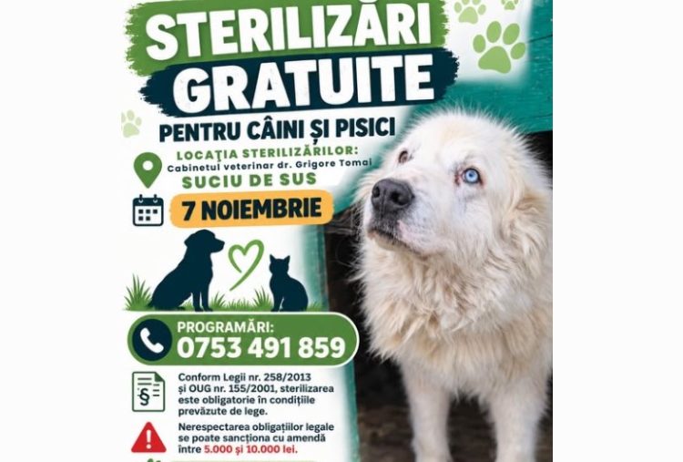 Sterilizări gratuite pentru câini și pisici în Maramureș. Unde și când se fac programările