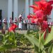 Cele patru țări ale Maramureșului, prezentate la TVR Cluj. Filmări realizate și la Muzeul Satului din Baia Mare