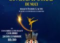 „Spărgătorul de nuci”, spectacol de balet în Borșa, în a doua zi de Crăciun