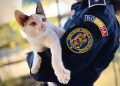 De Ziua Animalelor, polițiștii reamintesc – Deținerea unui animal înseamnă și responsabilitate