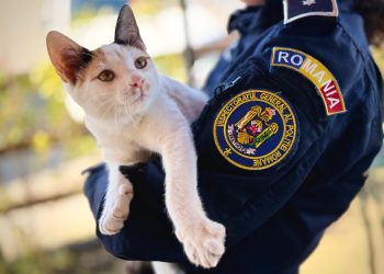 De Ziua Animalelor, polițiștii reamintesc – Deținerea unui animal înseamnă și responsabilitate
