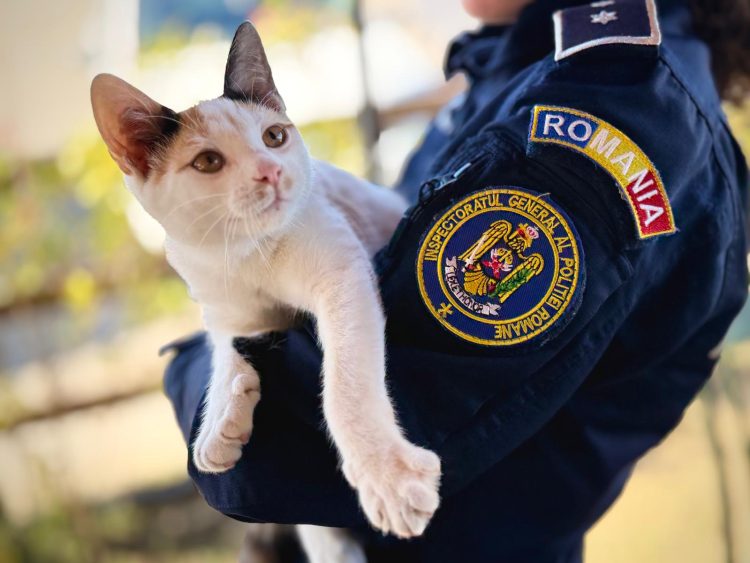 De Ziua Animalelor, polițiștii reamintesc – Deținerea unui animal înseamnă și responsabilitate