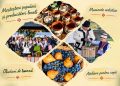 Weekend de toamnă cu tradiții și meșteșuguri – Târg de Sfântul Dumitru la Muzeul Satului din Baia Mare