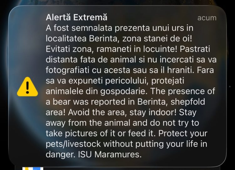 Urs semnalat în Berința, Maramureș. A fost emis un mesaj RO-ALERT