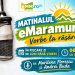 MATINALUL eMaramureș – Vorbe la răsărit