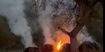 Incendiu observat de jandarmi în zorii zilei, între Rohia și Boiereni