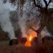 Incendiu observat de jandarmi în zorii zilei, între Rohia și Boiereni