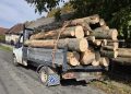 Transporta 4,36 metri cubi de fag fără acte – Lemnul a fost confiscat de polițiști în Chelința