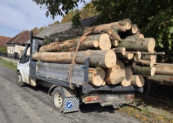 Transporta 4,36 metri cubi de fag fără acte – Lemnul a fost confiscat de polițiști în Chelința