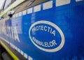 Anchetă pentru uciderea și rănirea unor animale – O bovină moartă și un cal rănit, găsiți pe teren forestier