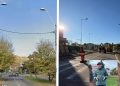 Baia Mare, un oraș tot mai cenușiu: -De ce se taie arborii?