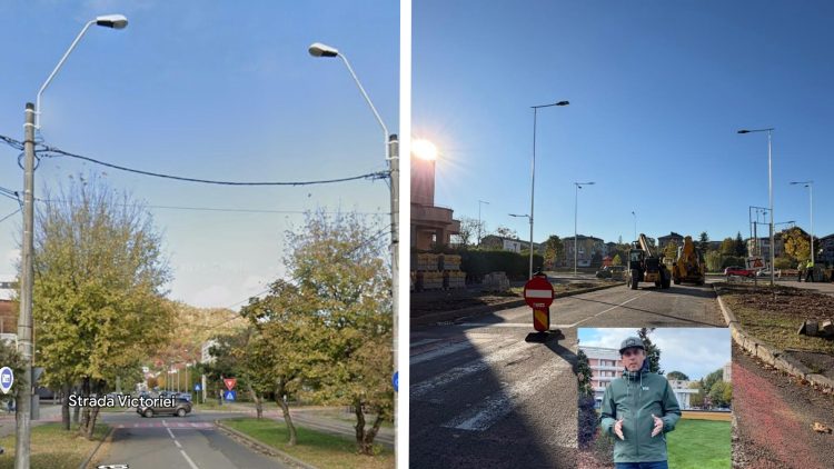 Baia Mare, un oraș tot mai cenușiu: -De ce se taie arborii?