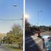 Baia Mare, un oraș tot mai cenușiu: -De ce se taie arborii?