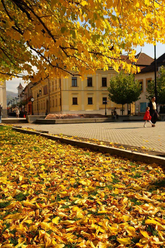 FOTO: Toamna baimareana in Piata Millenium