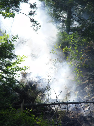 Foto: CITITORII IN ACTIUNE - Un incendiu a cuprins peste 60 de hectare de padure, in Baia Borsa
