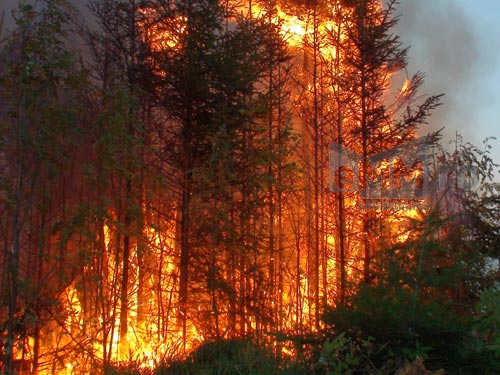 Incendii in Muntii Rodnei - foto arhiva eMM.ro