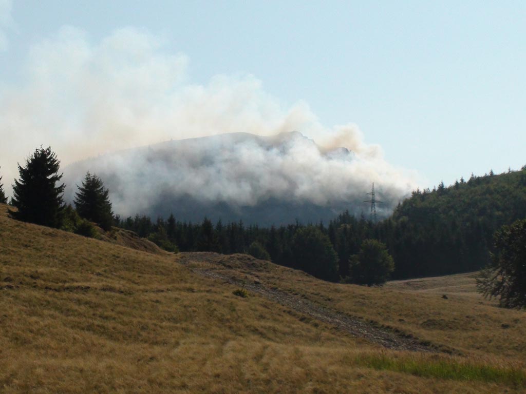 Incendiu in Muntii Gutai