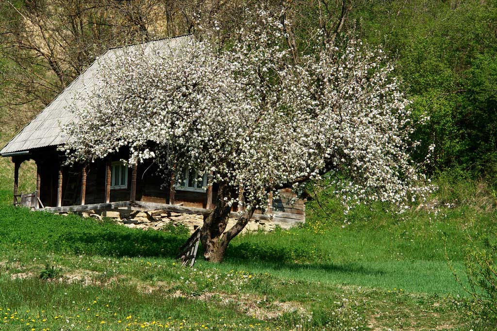 SIEU - MARAMURES - Casa din Sieu