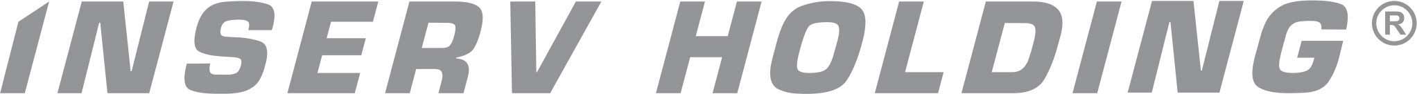 Logo INSERV Holding - Baia Mare