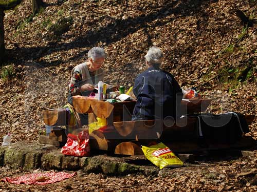 Iarba verde picnic